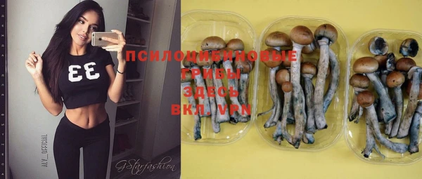 метадон Медвежьегорск
