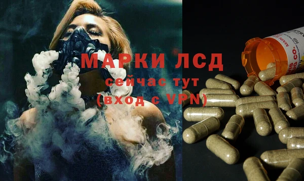 PSILOCYBIN Медногорск