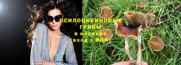 PSILOCYBIN Медногорск