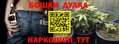 прущая мука Лесосибирск