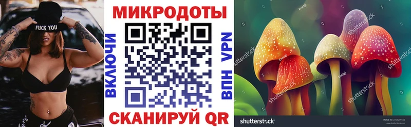 Псилоцибиновые грибы Cubensis  Майкоп 