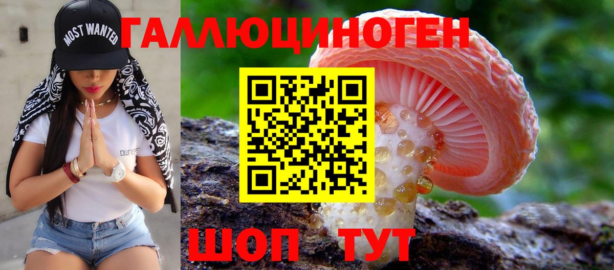 Майкоп  Псилоцибиновые грибы Magic Shrooms  закладка  Вход с VPN 