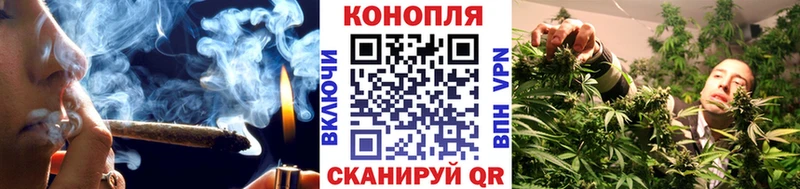 Шишки марихуана марихуана  Майкоп 
